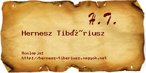 Hernesz Tibériusz névjegykártya